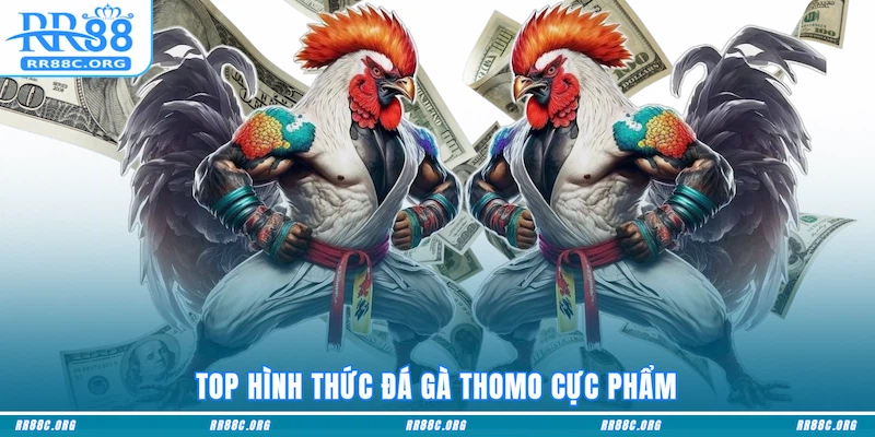 Lịch đấu Đá Gà Thomo siêu dày đặc